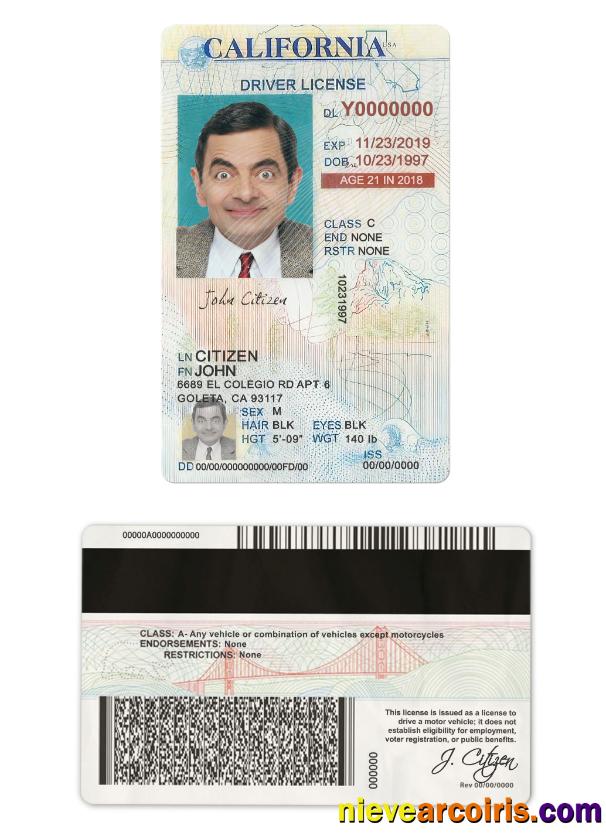 USA California driving license